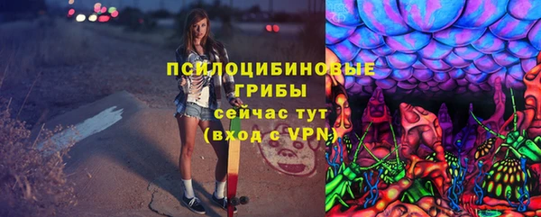 ALPHA PVP Костерёво