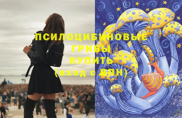 синтетический гашиш Корсаков