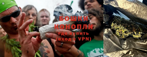 PSILOCYBIN Коряжма